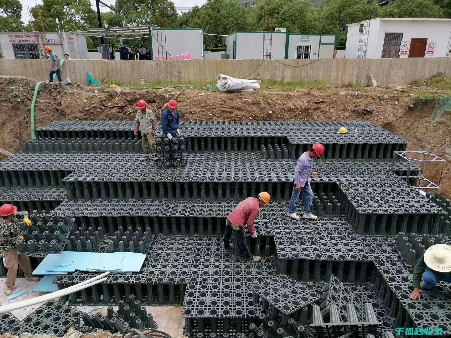 在城市绿化中的综合效益
