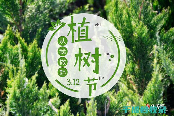 用行动守护地球的绿色家园