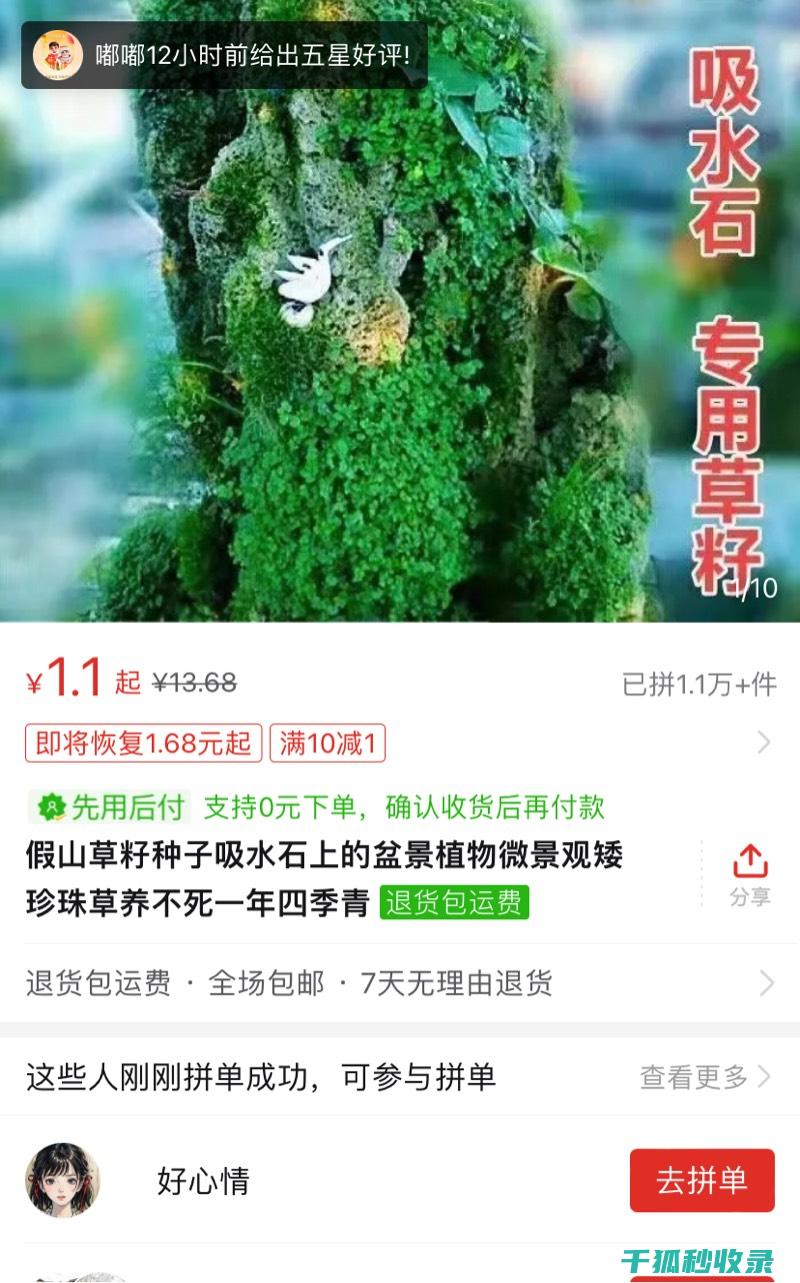 依据水草配置需求选择水族箱尺寸 (依据水草配置水草种植)