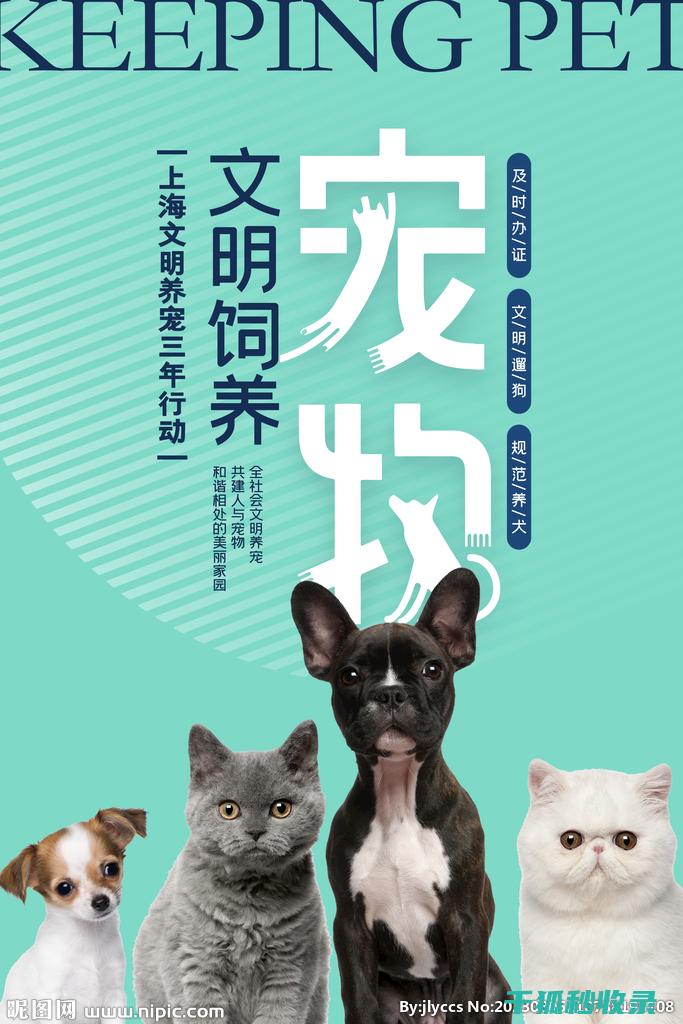 宠物周期建议