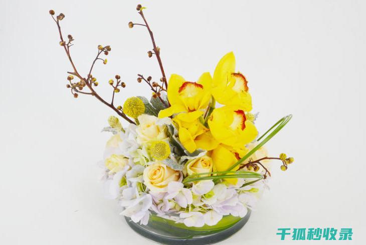 了解花卉生长周期