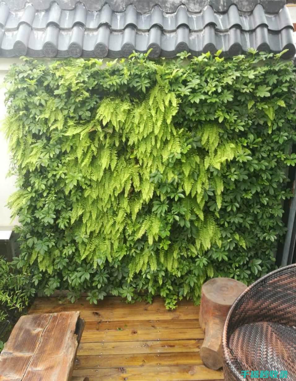 花卉施肥时机要求