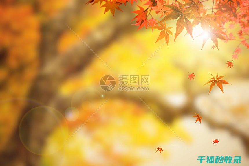 秋季花卉施肥时机与肥料的溶解