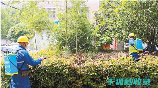 植物病虫害防治：如何通过合理施肥增强植物抵抗力 (植物病虫害防治考试题及答案)