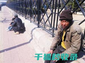 流浪动物救助：用行动守护每一份生命 (流浪动物救助站归哪个部门管)