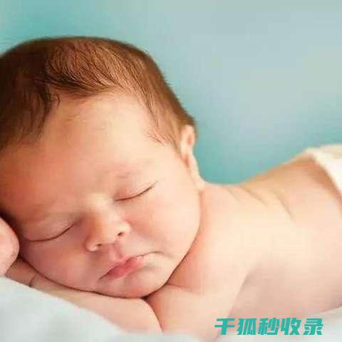 婴幼儿专用毛绒玩具的特殊清洁要求 (婴幼儿专用毛衣图片)