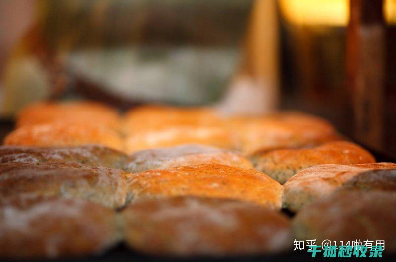 延长面包保鲜期的秘诀：让美味常伴左右 (延长面包保鲜如何做)