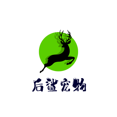 全面解析宠物健康和日常照顾