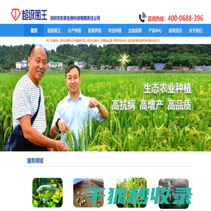 超级菌王