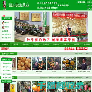 成都天府新区裴忠富果业精品开发服务部